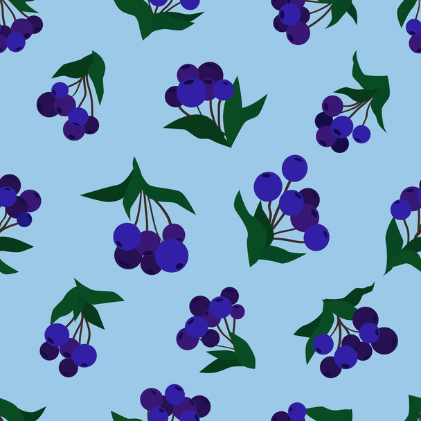 Dark blue berries. Seamless vector pattern. Botanical background.  - Вектор, зображення