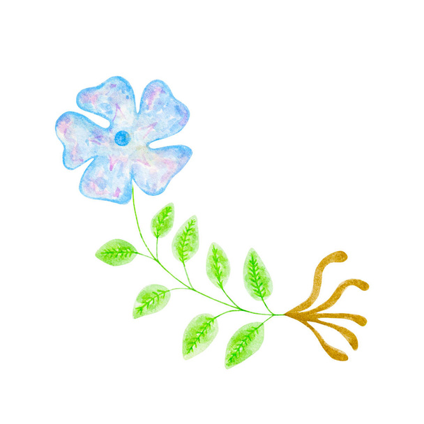 Periwinkle pro váš otisk. Akvarel modrý květ se zeleným listem a kořenem - Fotografie, Obrázek