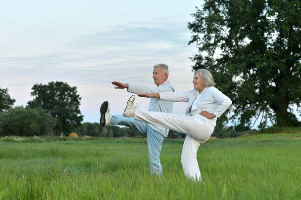 fit senior couple exercising  in park - Фото, изображение
