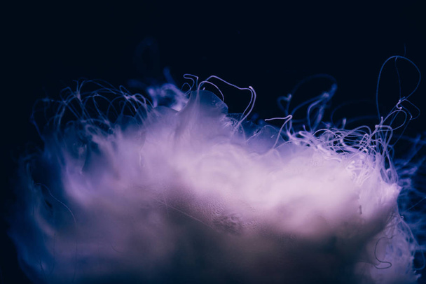 Close-up details of a Ghost jellyfish - Фото, зображення