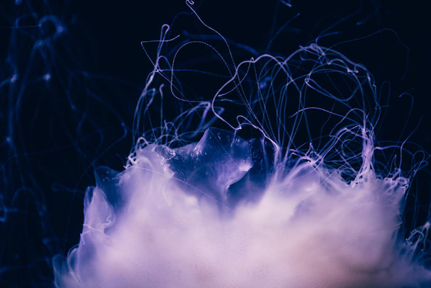 Close-up details of a Ghost jellyfish - Foto, Imagen