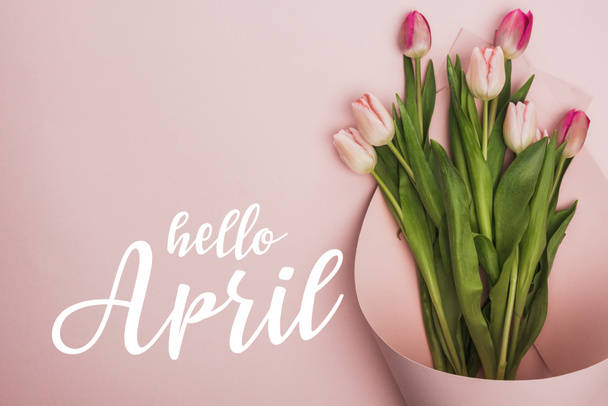 top view tulipán csomagolva papír rózsaszín háttér, hello április illusztráció - Fotó, kép