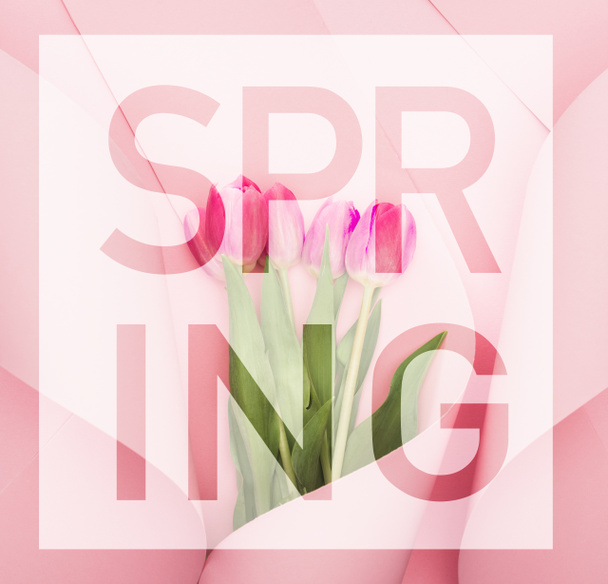horní pohled na tulipány zabalené v papíru na růžovém pozadí, jarní ilustrace - Fotografie, Obrázek