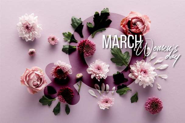 vista dall'alto di fioritura primavera crisantemi e rose con foglie e petali su sfondo viola, illustrazione giorno delle donne
  - Foto, immagini