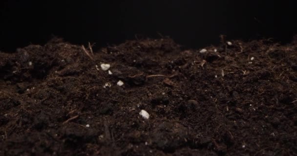 Routebeschrijving over zwarte grond die wordt geteeld, opgevuld met een hark tuin - Video