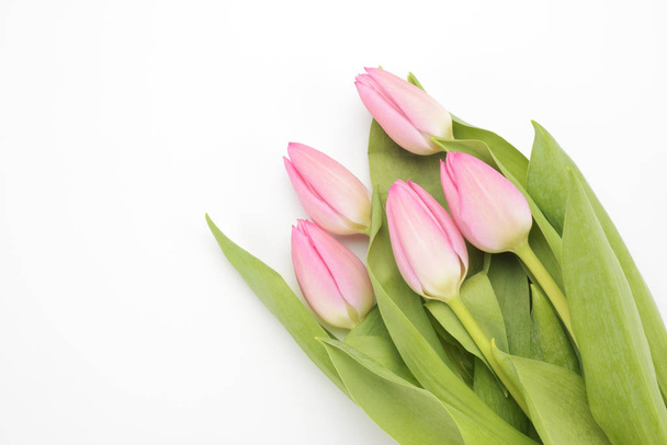 Pink tulips on white background - Foto, imagen