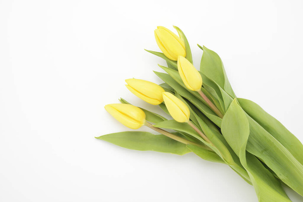 Yellow tulips on white background - Foto, imagen
