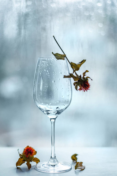 Asetelma tyhjällä viinilasilla ja kuivalla kukalla
 - Valokuva, kuva
