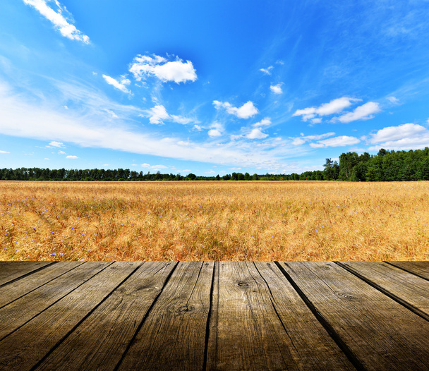 Empty wooden deck table with blue sky and field - Photo, Image