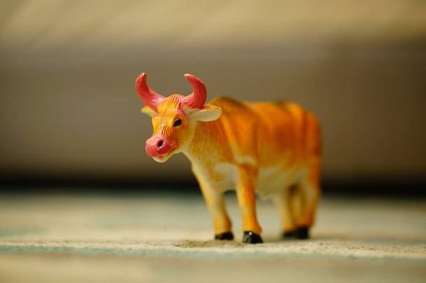 A closeup shot of a toy of a bull in a room - Foto, afbeelding