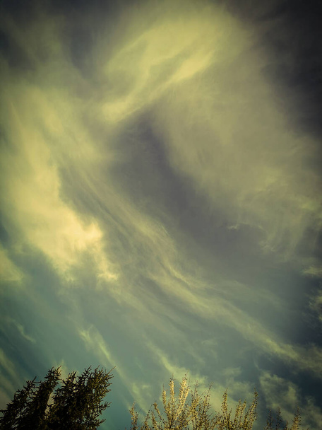 Drzewa wiosną z Aurorą Borealis jak niebo i chmury - Zdjęcie, obraz