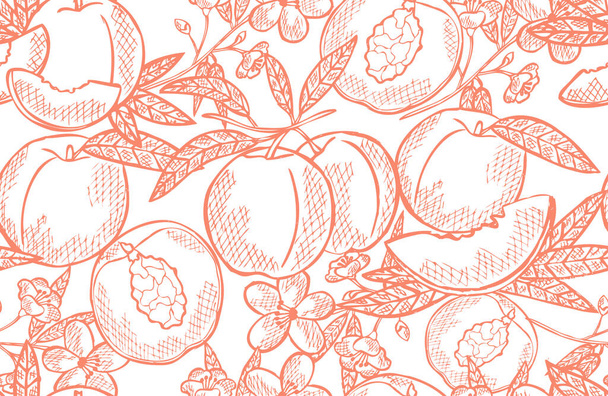 Elegant seamless pattern with peach fruits, design elements. Fruit  pattern for invitations, cards, print, gift wrap, manufacturing, textile, fabric, wallpapers. Food, kitchen, vegetarian theme - Vektor, Bild