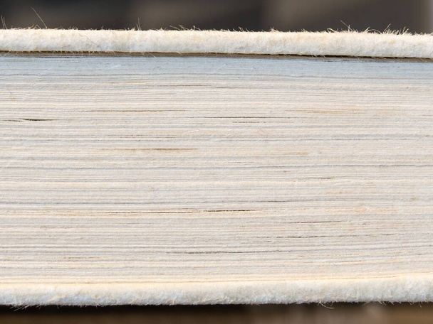 A closeup shot of the pages of a thick book - 写真・画像