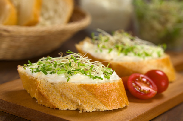 Baguette with Cream Cheese and Sprouts - Photo, Image
