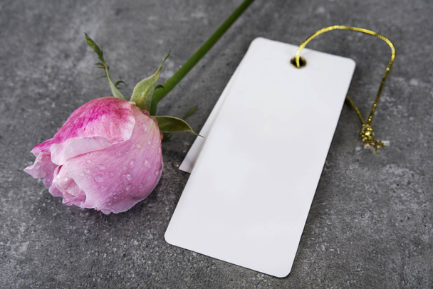 Ευχετήρια κάρτα με ροζ τριαντάφυλλο και γεμίστε ή αδειάστε χώρο - Φωτογραφία, εικόνα