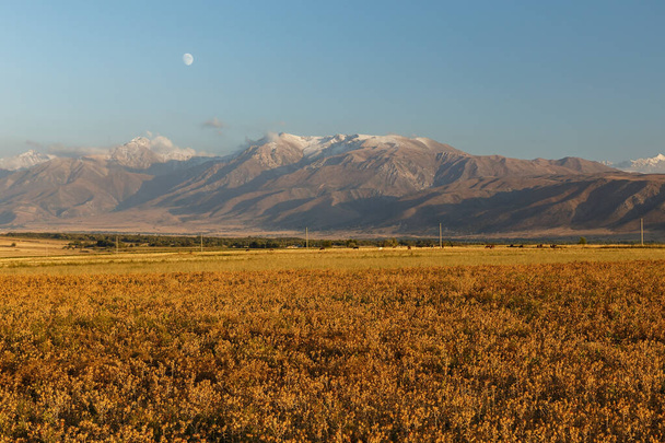 Mountains in Kazakhstan, Aksu-Zhabagly Nature Reserve in Central Asia - Φωτογραφία, εικόνα