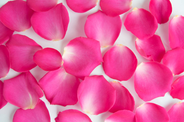 Lots of pink rose petals. The view from the top. Background, postcard, romance, Valentine, wedding invitation. - Fotó, kép