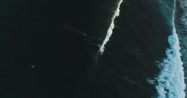 Top Down Strzał z lotu ptaka na wykwalifikowanego surfera ujeżdżającego ogromną falę w błękitny dzień na oceanie łapiącego fale - Materiał filmowy, wideo