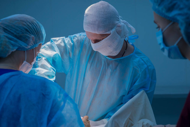 Children's surgeons perform urological operations. A man and a woman in a mask and a blue sterile coat in the operating room. A team of surgeons is conducting an operation. Treatment of inguinal hernia, testicular edema, testicular disease, varicocel - Foto, Imagen