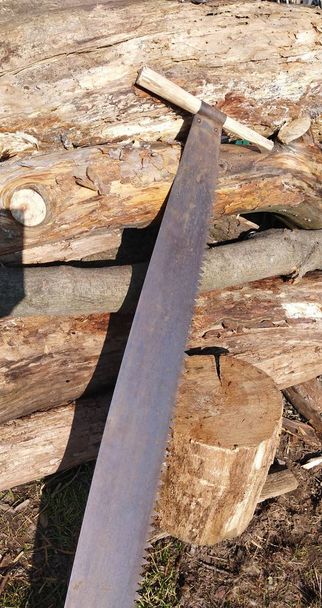  重労働だ。古いツールはまだ動作します。2人分のハックソー。冬の熱のための薪。ウッドカッター、木材ジャック、ウッドマン - 写真・画像