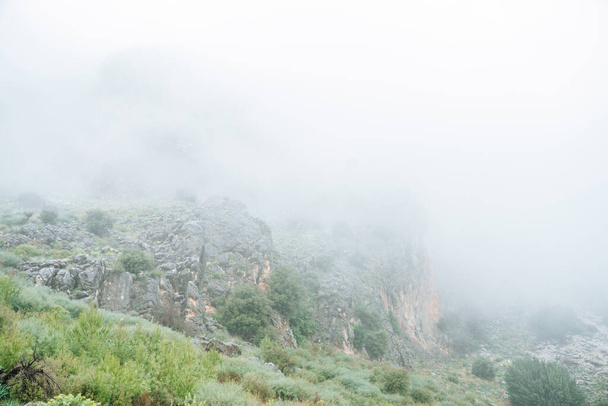 Mountain in the fog - Фото, изображение