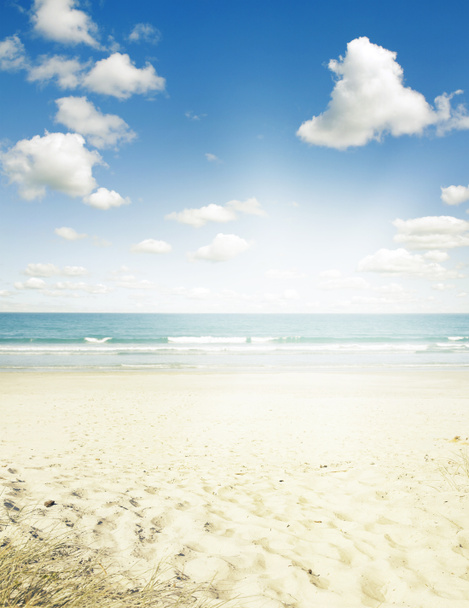 Beach - Photo, Image