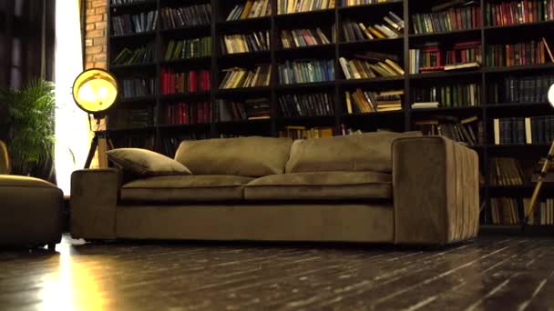 Loft interieur met bibliotheek, mooie suède bank en houten vloer. - Video