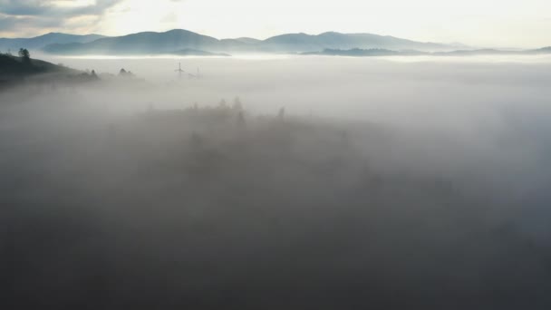 Letecký pohled na barevné smíšený les zahalený v ranní mlze na krásný podzimní den - Záběry, video