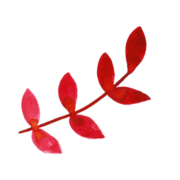 Red leaf. Watercolor hand-drawn illustration on a white background, isolated. Decorative element for seasonal design - Φωτογραφία, εικόνα