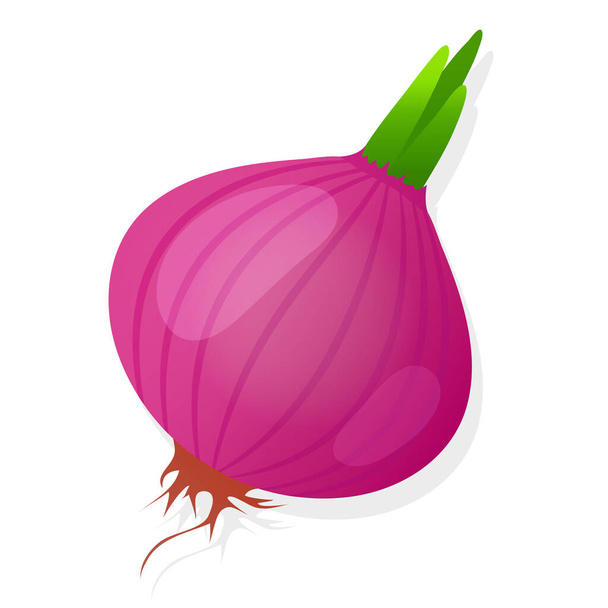 Unpeeled red onion bulb with green sprout isolated on white background. Ripe onion. Vector illustration - Vector, Image