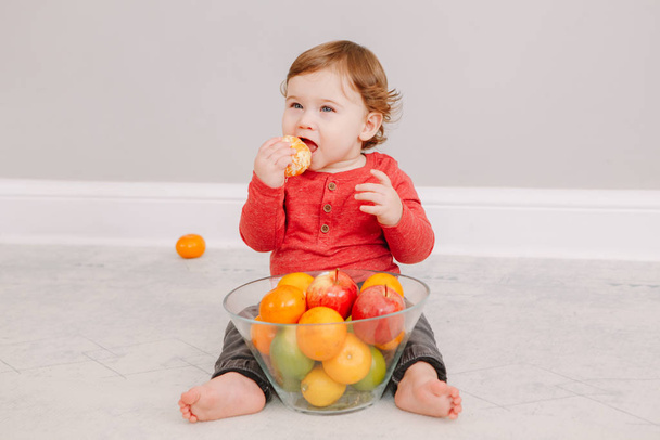 Cute adorable Caucasian baby boy eating citrus fruit. Finny child eating healthy organic snack. Solid finger food and supplementary food for children toddlers.  - Photo, image