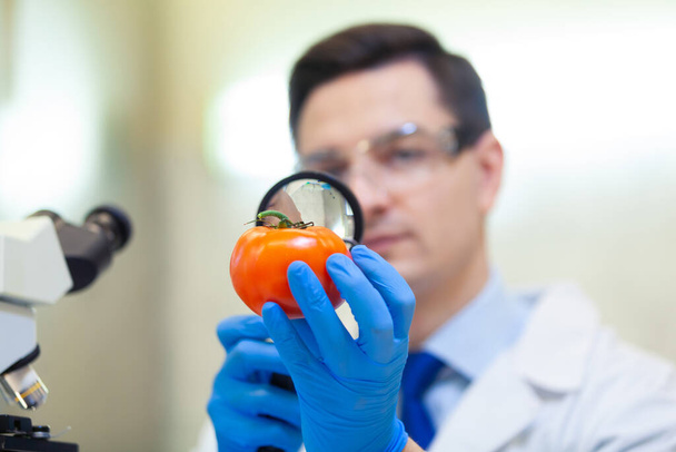 Laboratory worker examining fruits and vegetables and making analysis for pesticides and nitrates. - Photo, image