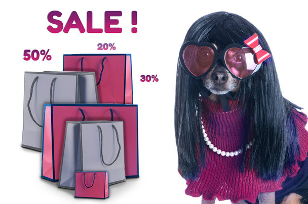 スタイリッシュなファッショナブルな犬の女の子と孤立したショッピングパッケージ、ショッピングコンセプトと販売  - 写真・画像