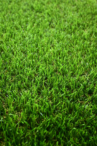 green grass turf floor artificial - Photo, Image