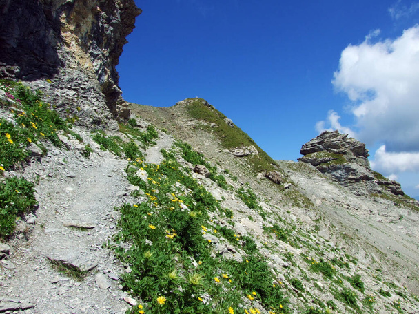 Szlaki spacerowe i turystyczne w Alpach Lichtensteinskich oraz wzdłuż doliny Naaftal i Saminatal Alpine - Steg, Liechtenstein - Zdjęcie, obraz