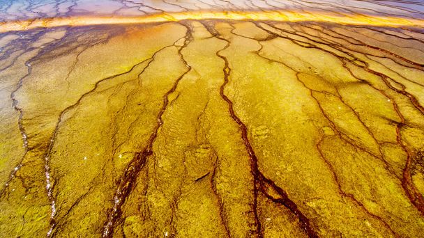 De kleurrijke Bacteriële Mats van de Grand Prismatic Spring in Yellowstone National Park, Wyoming, Verenigde Staten - Foto, afbeelding