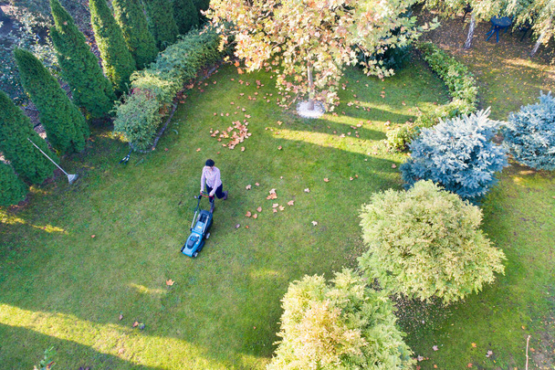Aerial view of girl mowing lawn in backyard shoot from drone - Photo, Image