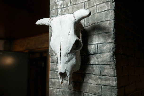 Duvarda bir sığır kafatası asılı.. - Fotoğraf, Görsel