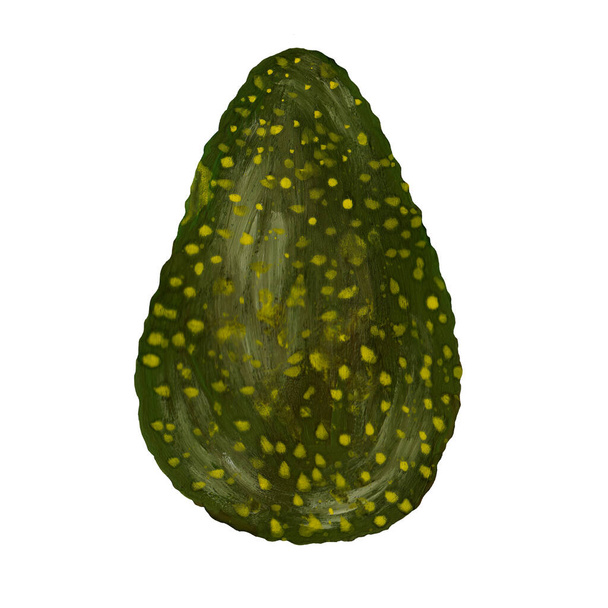 Whole avocado isolated on white. Avocado in a peel is hand-painted with gouache paints. Raster vegetable illustration - Фото, зображення