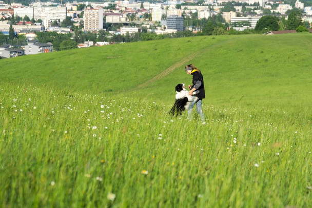 nő játszik vele szép kutya zöld mező  - Fotó, kép