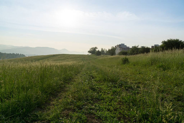 Slovakya 'daki güzel yeşil çayır - Fotoğraf, Görsel