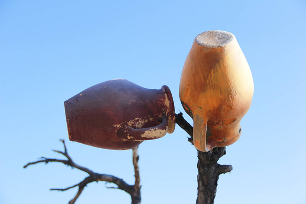 vintage orientální tradiční keramické hliněné džbány na stromě a větve - Fotografie, Obrázek