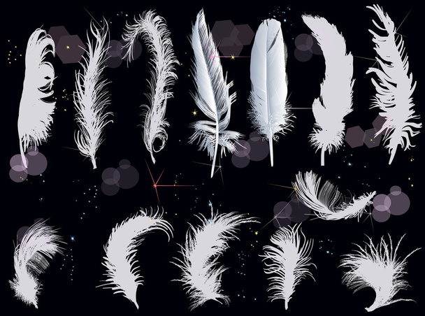 Grey feathers collection - Vector, Image