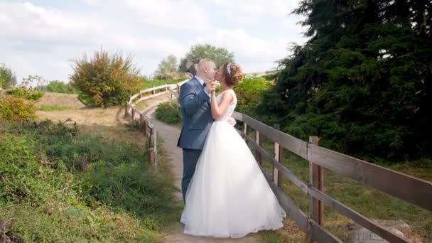 4k тоноване відео збільшення камери на щасливій усміхненій нареченій і нареченій цілуються в полі
 - Кадри, відео