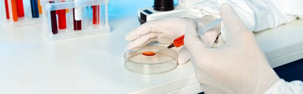 panoramic shot of scientist in latex gloves holding syringe near glass test plate  - Fotografie, Obrázek