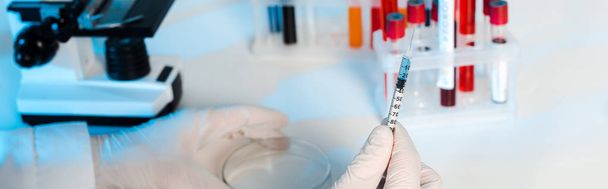 panoramic shot of scientist in latex gloves holding glass test plate and syringe  - Photo, Image