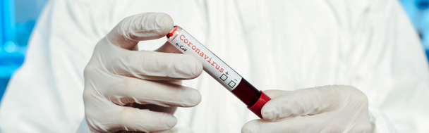 panoramic shot of scientist in latex gloves holding sample with coronavirus lettering  - 写真・画像
