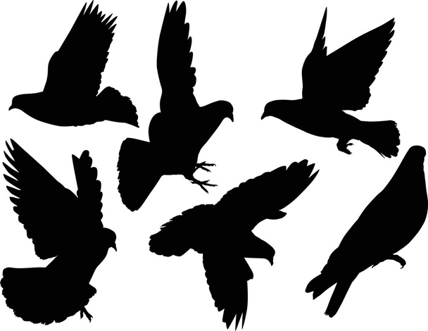 six silhouettes de colombes isolées
 - Vecteur, image