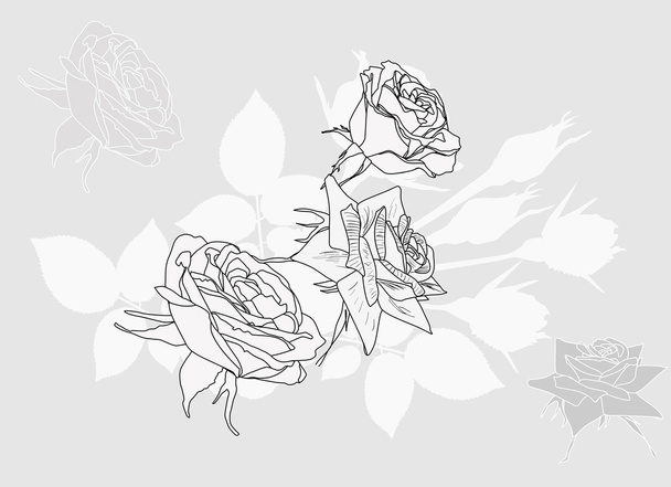 grey composition with rose sketches - Vector, Image