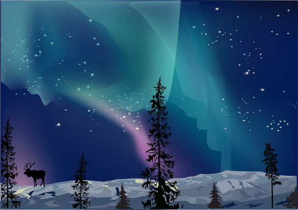 illustration with deer at aurora borealis - Vector, Image